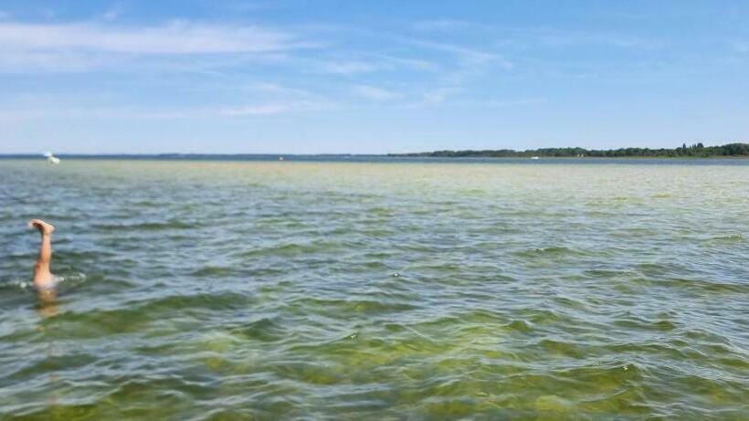 Maison à Proximité Du Canal Et Du Lac De Cazaux