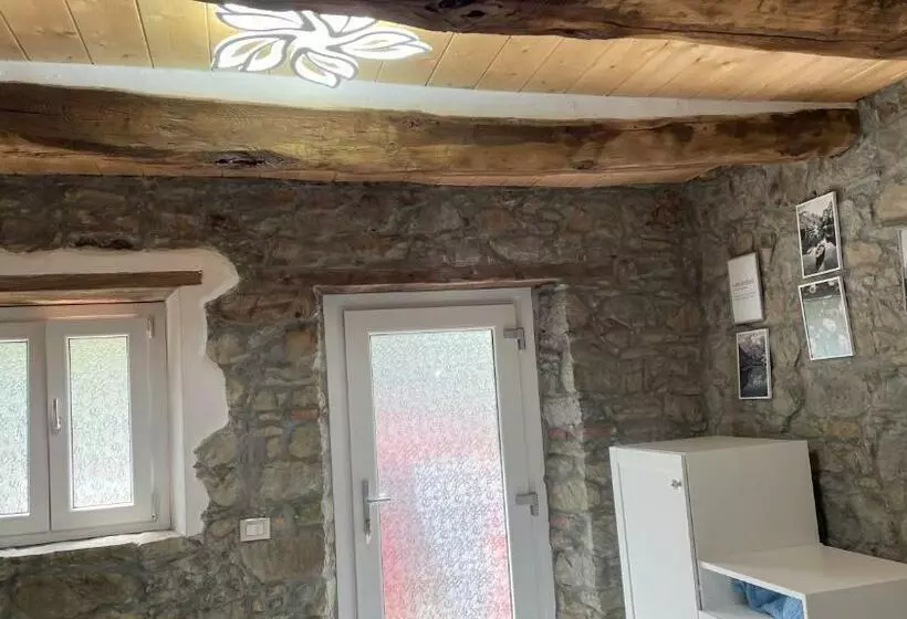 Metato Con Piscina E Giardino