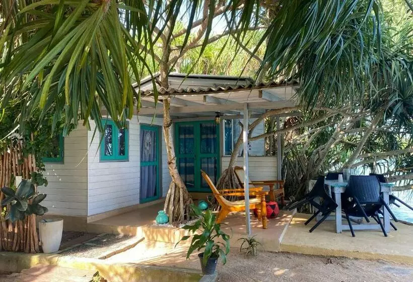 Ocean Beach House