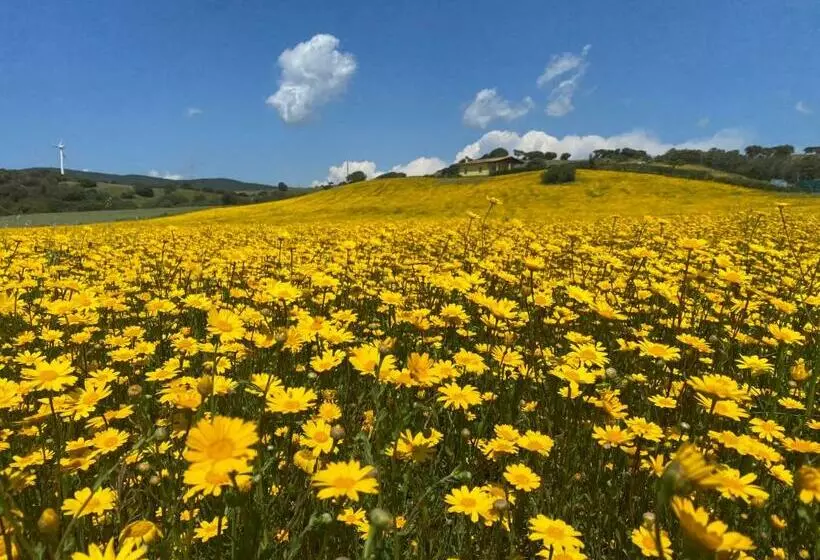 San Leonardo Country House