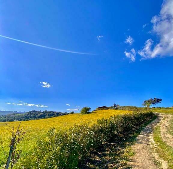 San Leonardo Country House