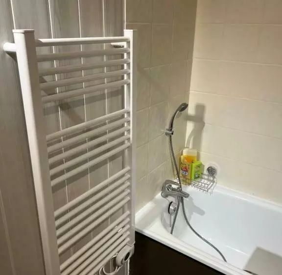 Bel Appart Pieds Des Pistes