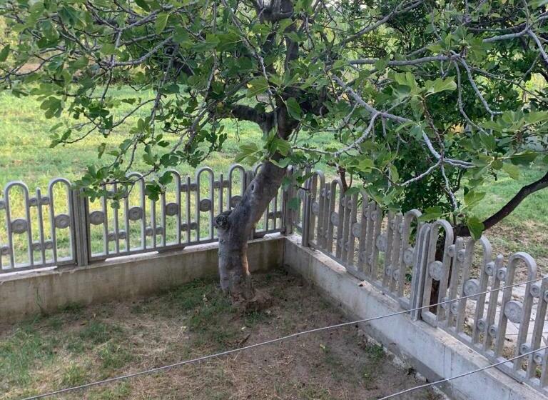 Casa Vacanze Trainiti