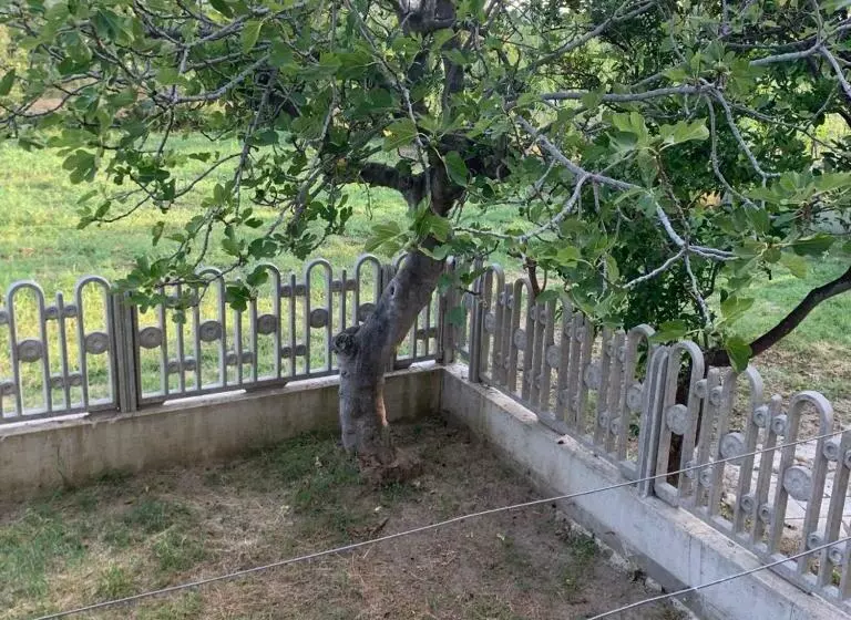 Casa Vacanze Trainiti