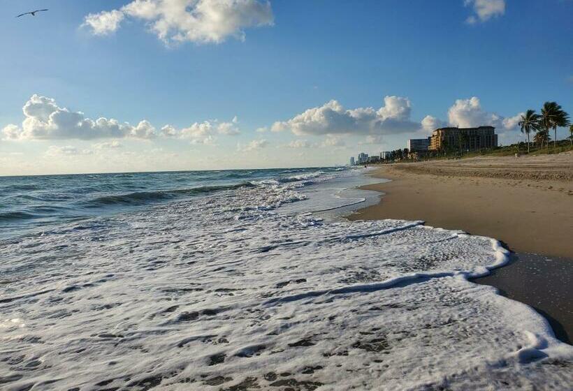 Hollywood Beach Shores