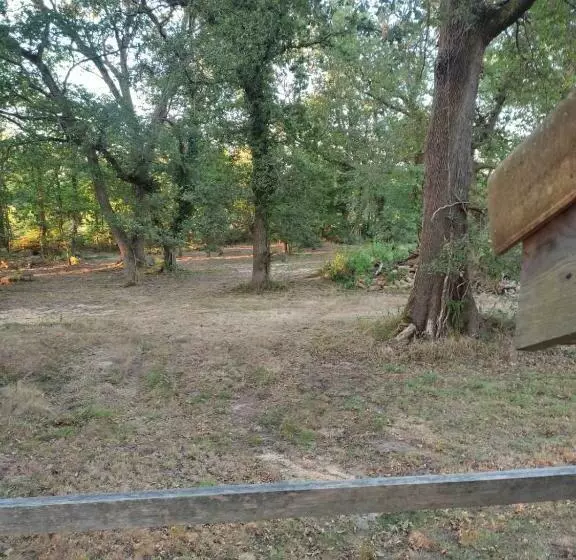 Maisonnette Vue Sur Forêt