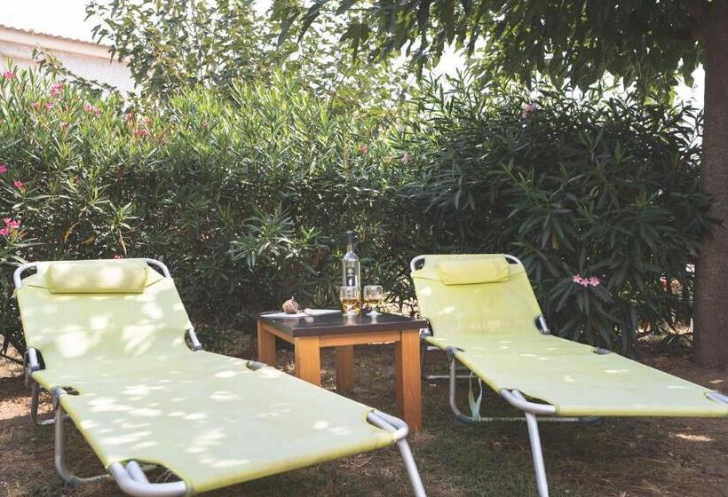 Maison à Cervione Prunete Jardin Piscine Accès Direct Plage