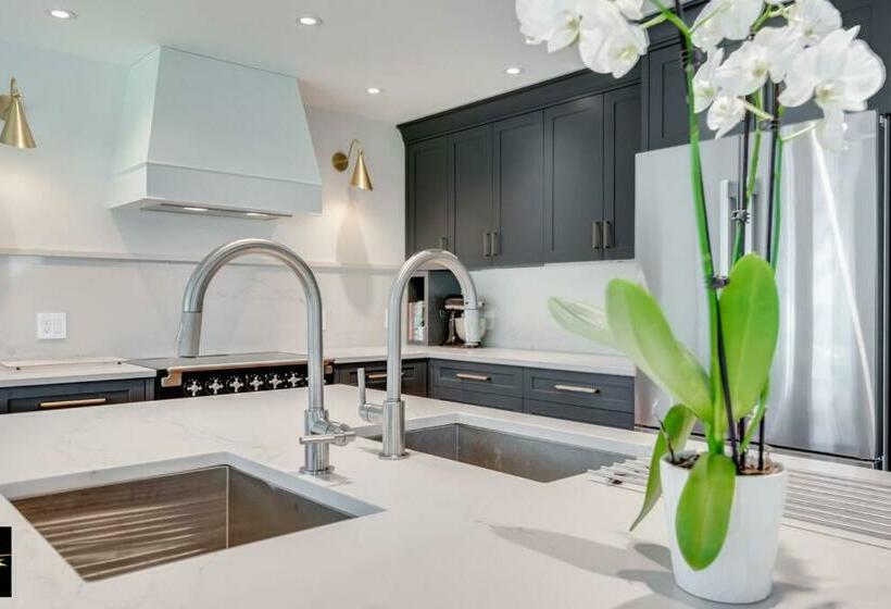 Mount Joy By The Sea