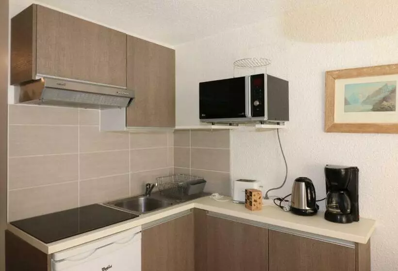 Studio Rénové Avec Balcon Aux Pieds Des Pistes, Wifi, Animaux Permis   Fr 1 502 415