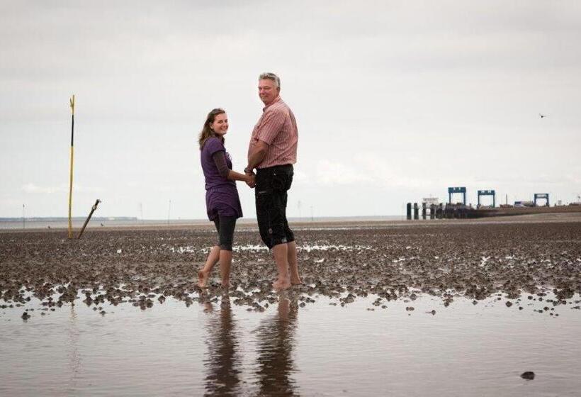 Frühstückshotel Seemannsbraut Amrum Adults Only Ab 18 Jahre Keine Haustiere