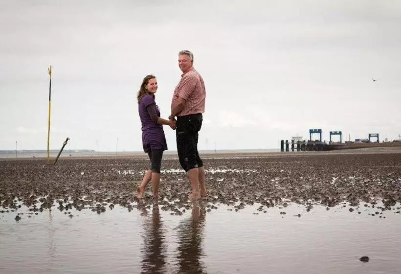 Frühstückshotel Seemannsbraut Amrum Adults Only Ab 18 Jahre Keine Haustiere