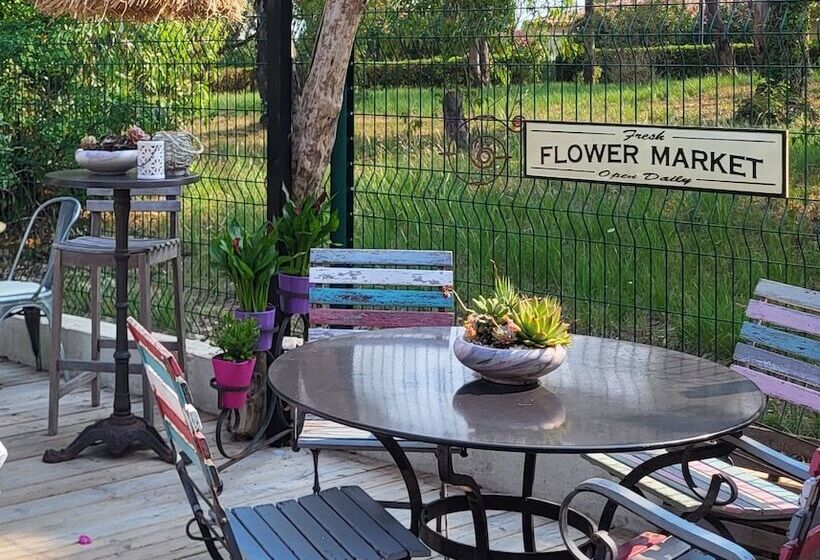 Отель Auberge Provençale