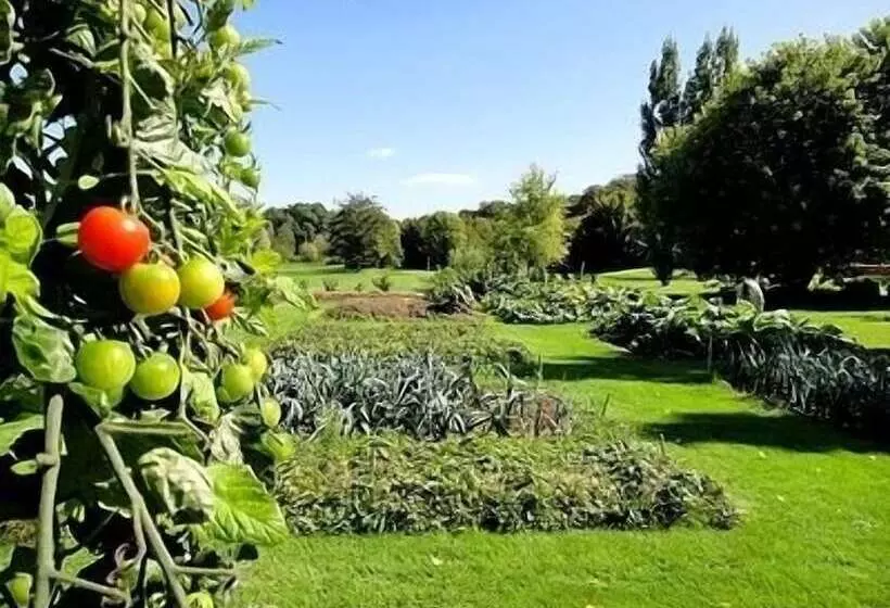 Hotel Domaine De L'arbrelle