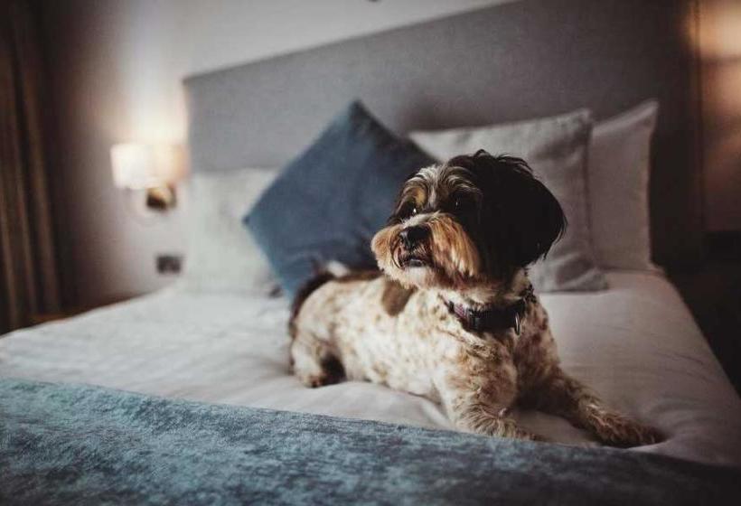 בית מלון כפרי Holland Hall