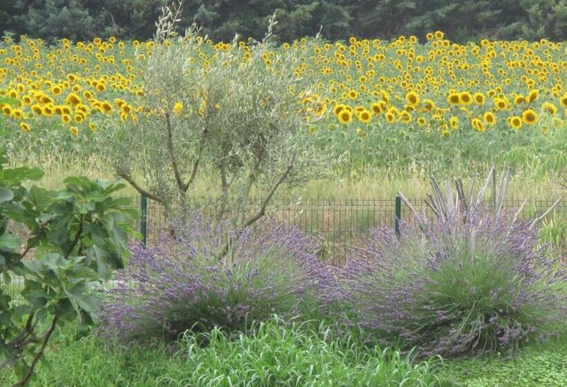 فندق L étape Provencale