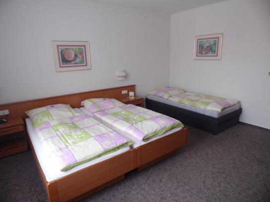 Отель Landgut Langholz