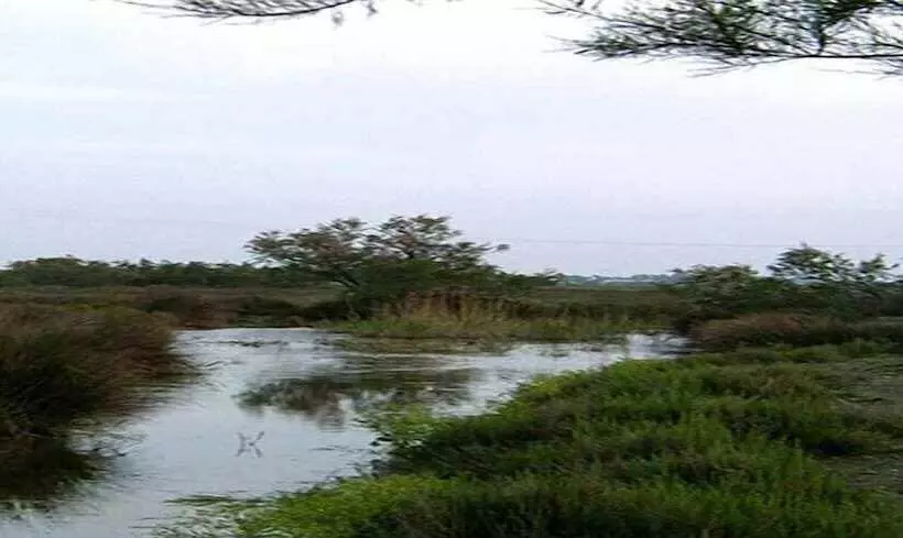 ホテル Longo Maï