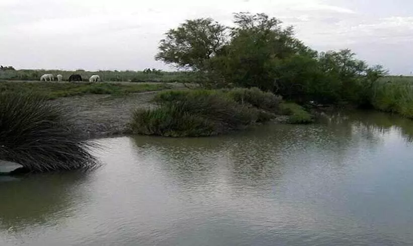 ホテル Longo Maï