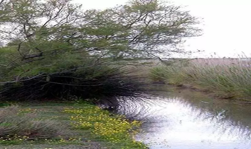 ホテル Longo Maï