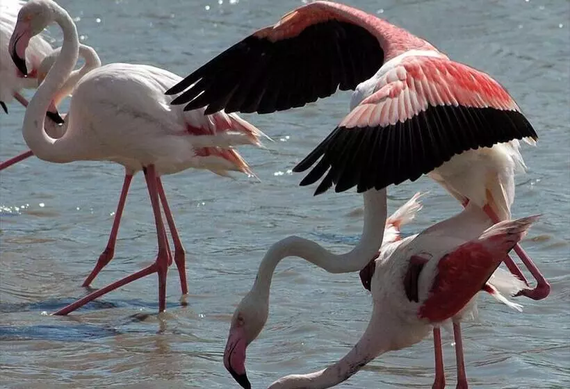 ホテル Longo Maï