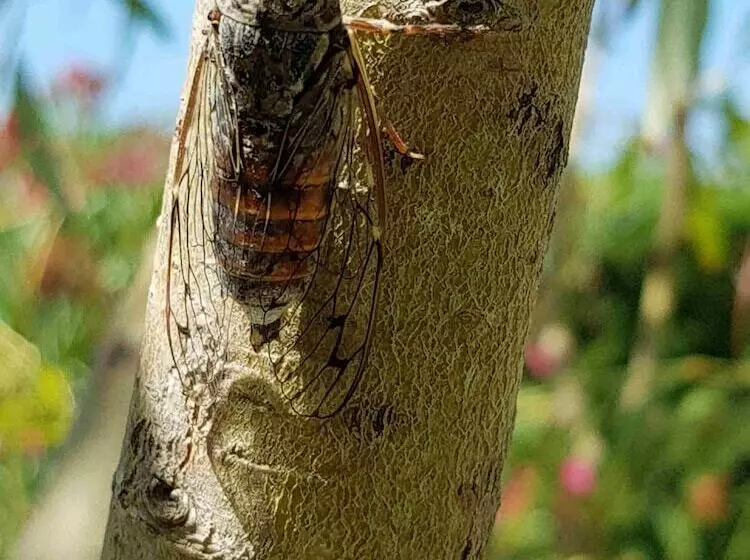 ホテル Longo Maï