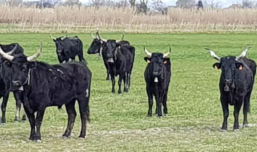 ホテル Longo Maï