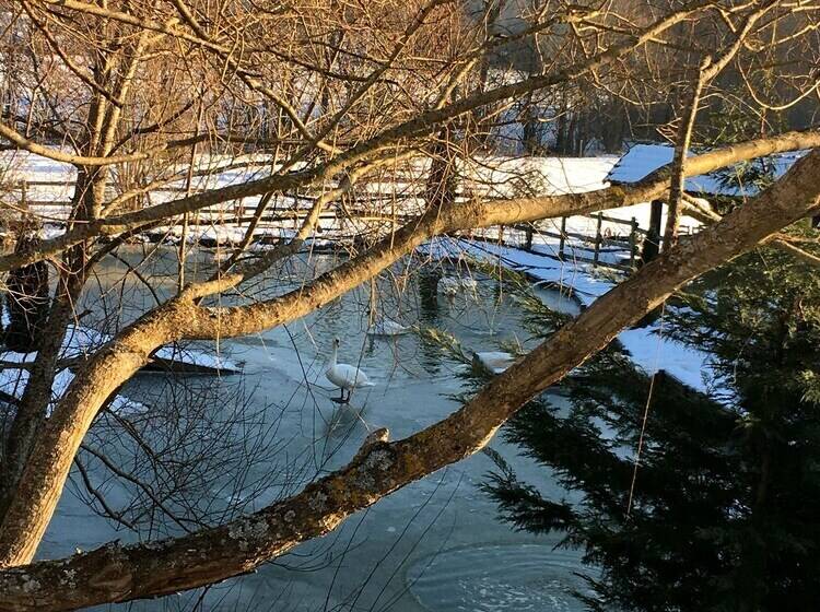 فندق Restaurant Le Regal