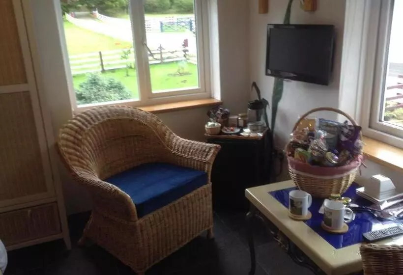 펜션 Glan Llyn Farm House