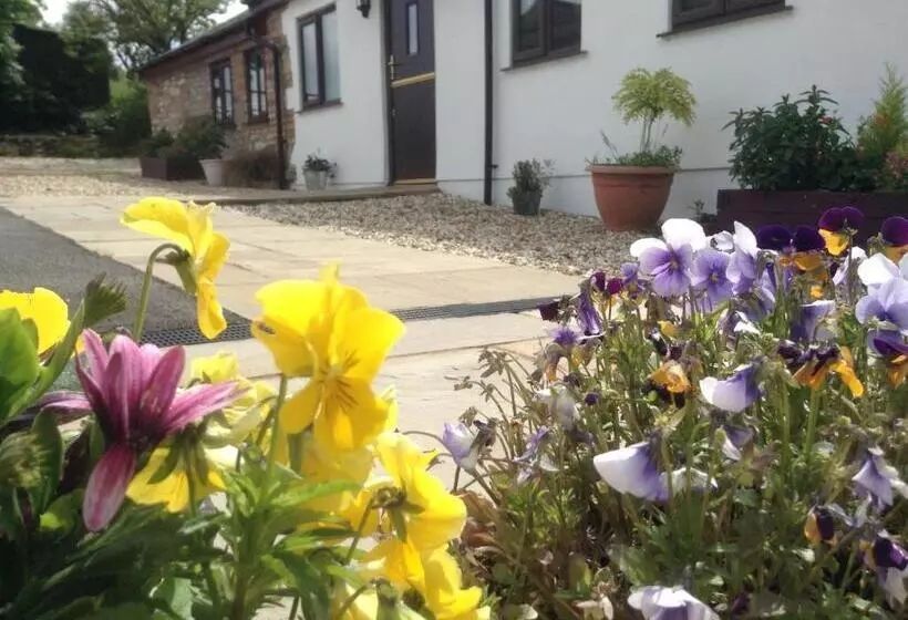 펜션 Glan Llyn Farm House