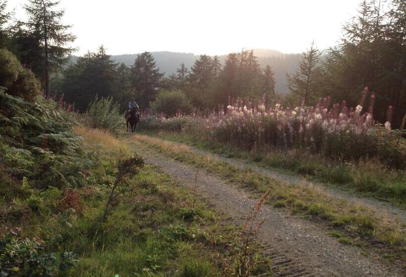 펜션 Glan Llyn Farm House