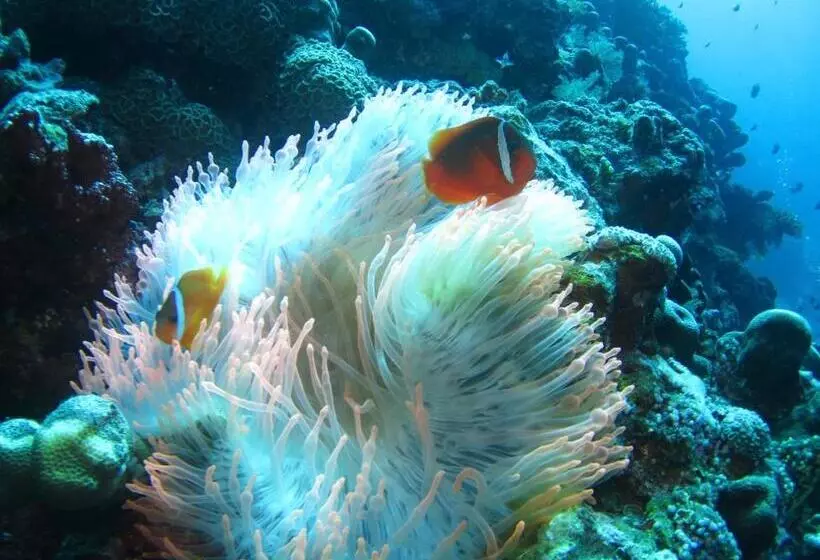 Taveuni Island Resort And Spa