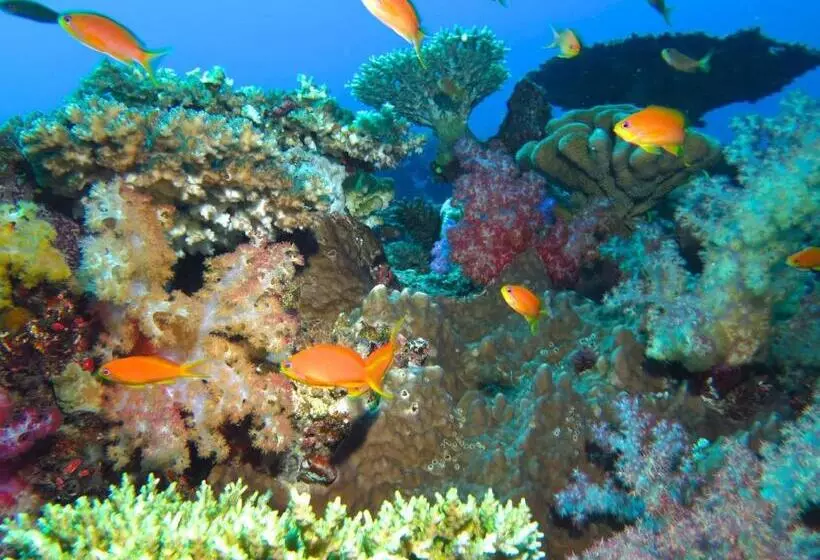 Taveuni Island Resort And Spa