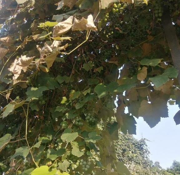 живописный дом