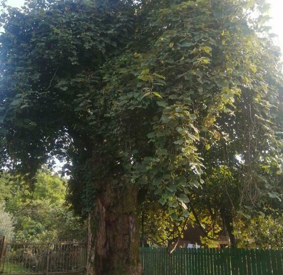 живописный дом