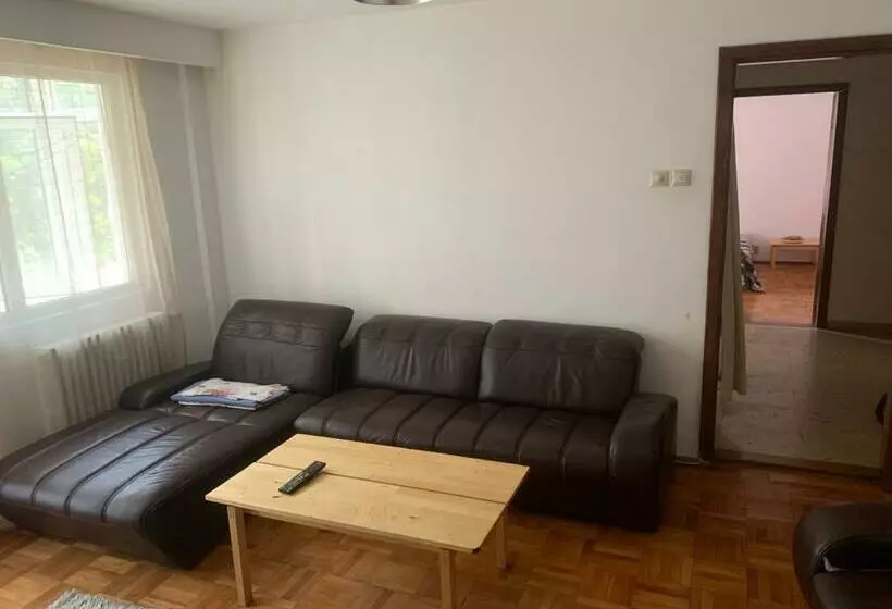 Mihaela Home