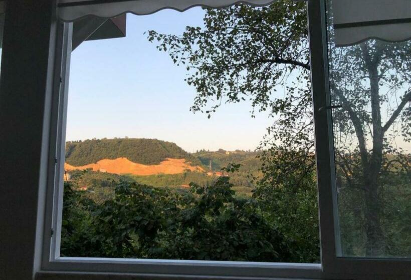 Arsinhouse Family Suit