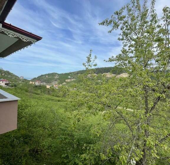 Arsinhouse Family Suit