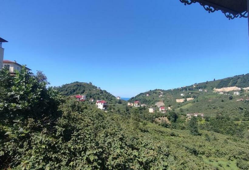 Arsinhouse Family Suit