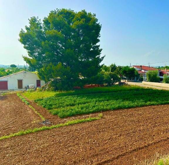 La Casa Dell Artista