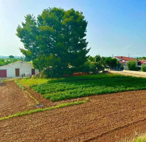 La Casa Dell Artista