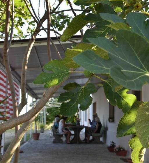 La Casa Dell Artista