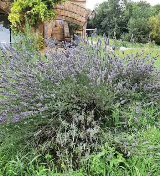 Charmant Studio Dans Maison D Hôte Dans Un écrin De Verdure