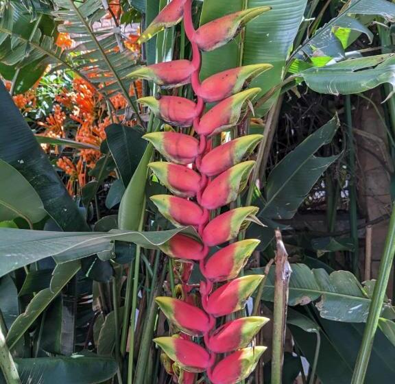 تختخواب و صبحانه Le Manoir