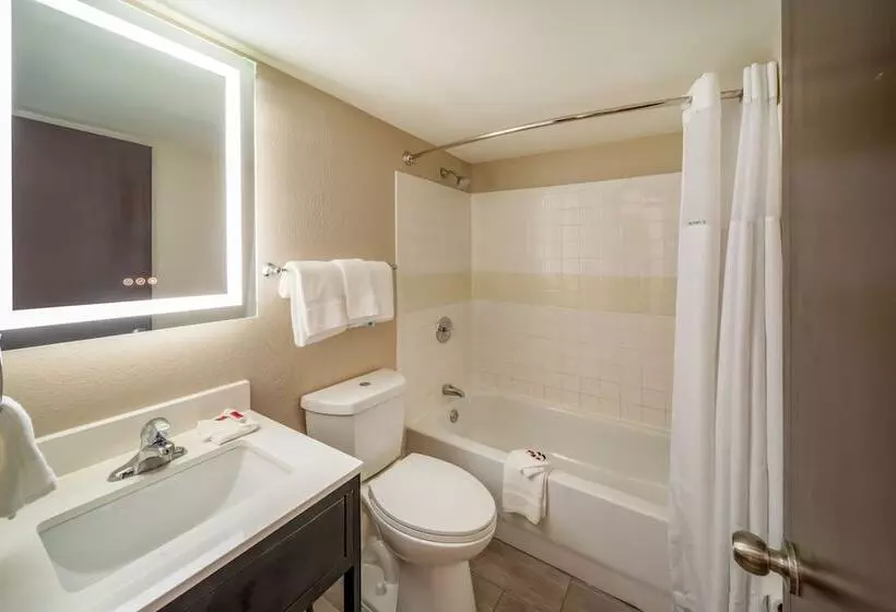 ホテル Super 8 By Wyndham Laredo