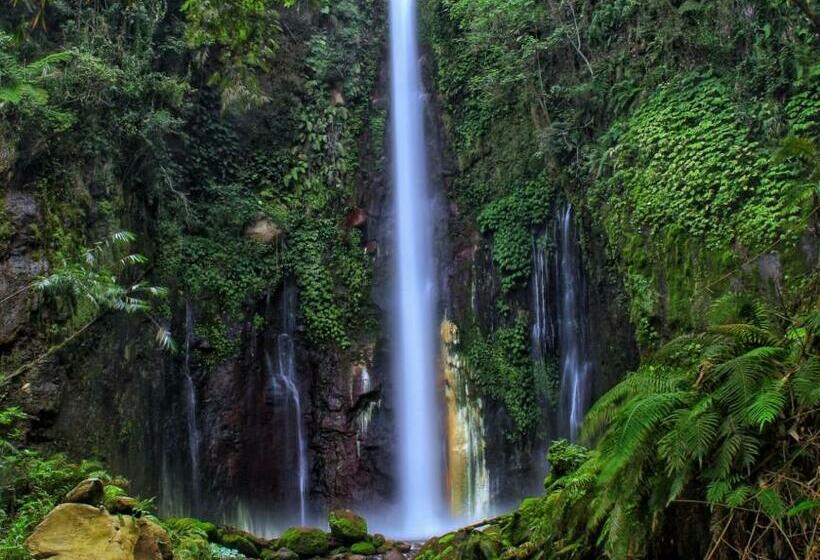 بنسيون Wisma Kelimutu