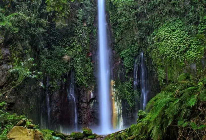 پانسیون Wisma Kelimutu