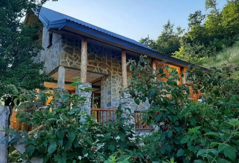 Fern Farm Eco Studio Apartment