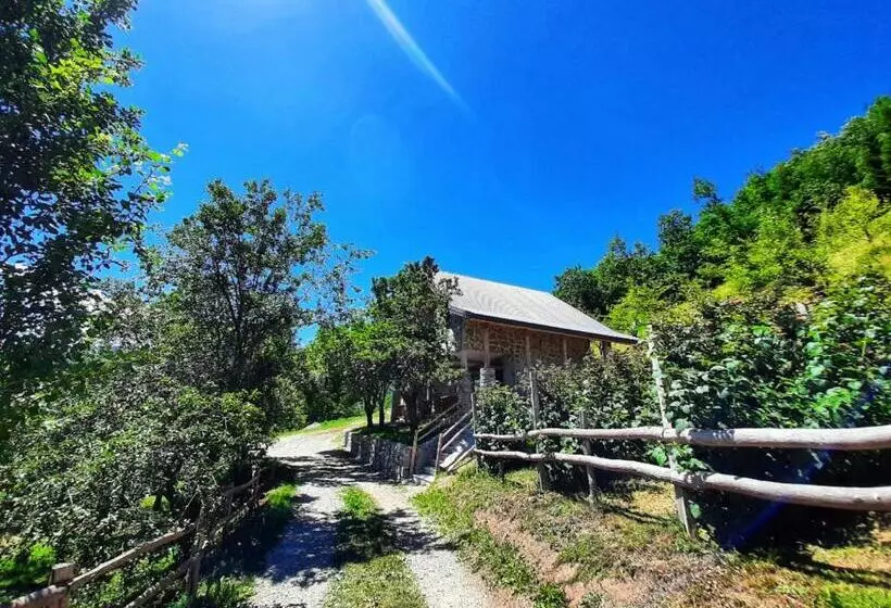 Fern Farm Eco Studio Apartment