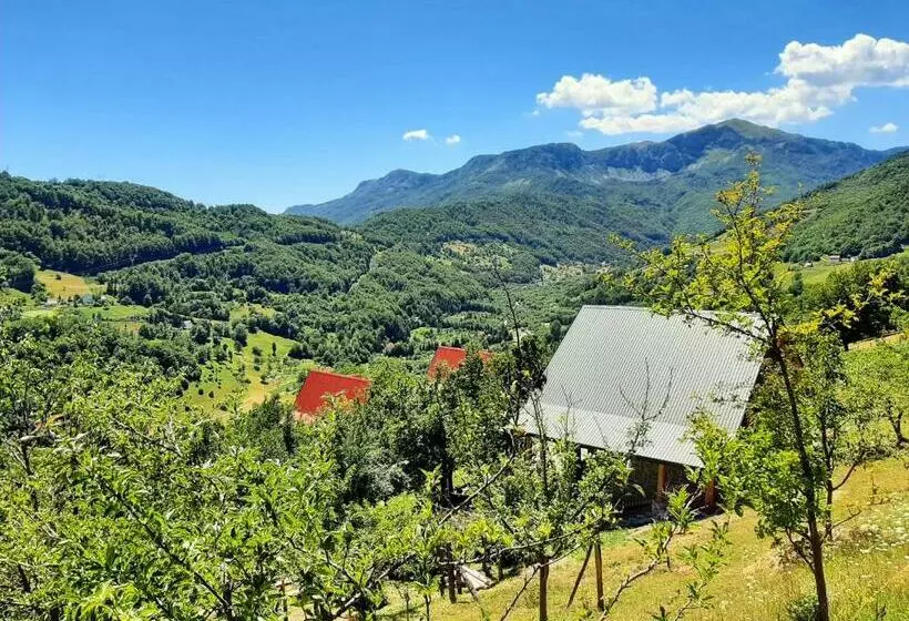 Fern Farm Eco Studio Apartment