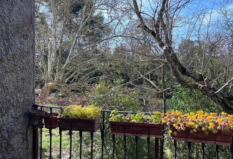 بنسيون La Belle Eco